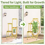 iDavosic.ly Plant Stand Indoor Outdoor, 5 Tier Metal Corner Shelf, Folding - Image 7