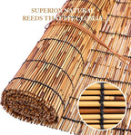 Reed Curtain, Bamboo Light Filtering Roller Shades - Image 2