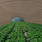 80% Shade Cloth -5x20FT Sunblock Net - Image 8